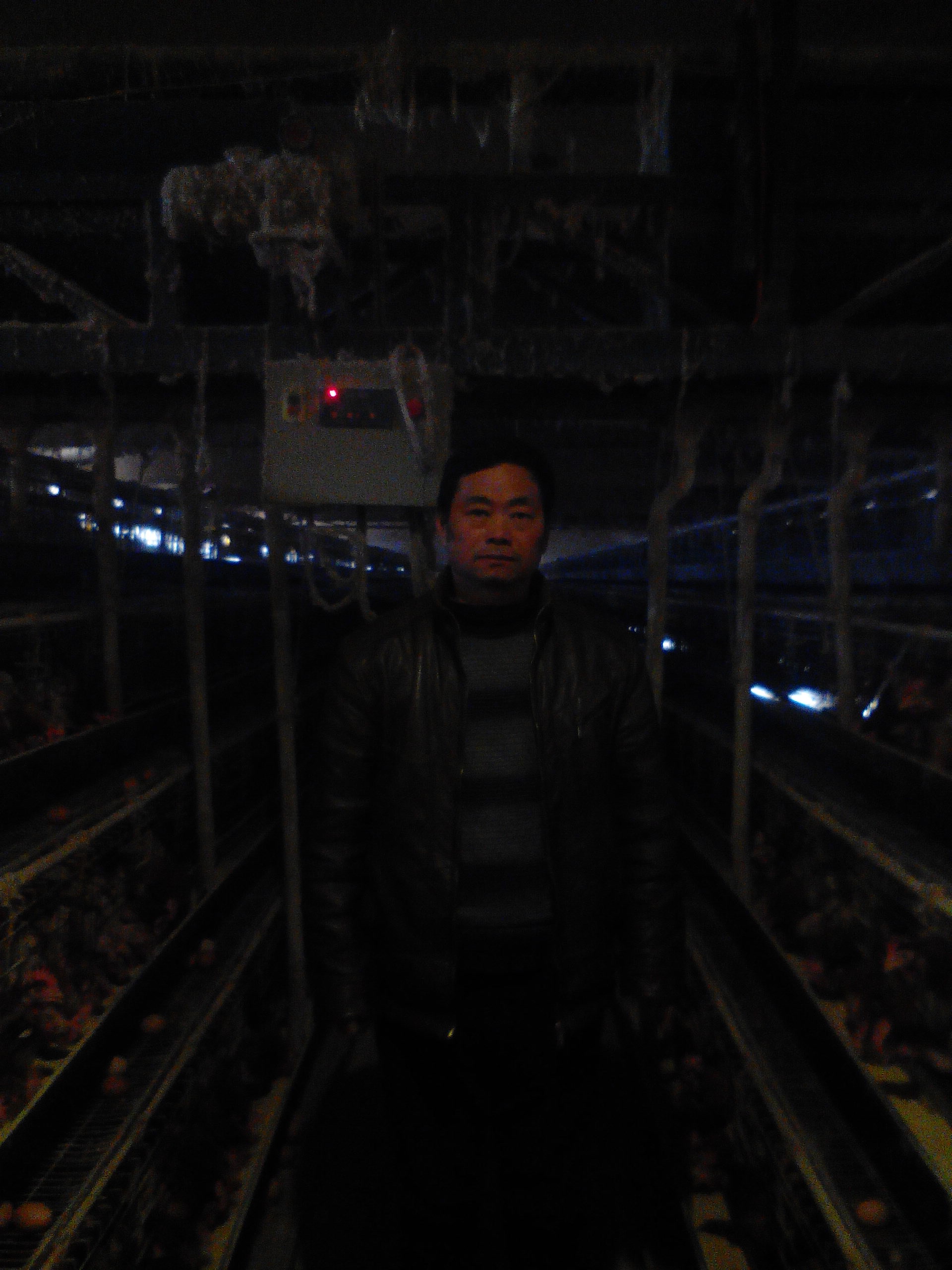黄志强：我的理想是建个青年鸡场